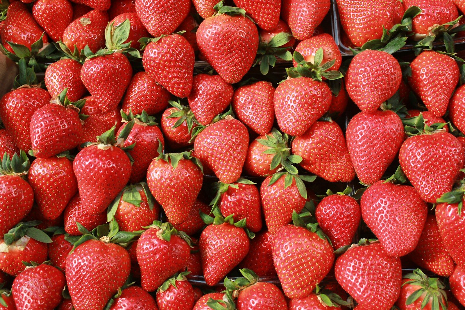 A pile of fresh, ripe strawberries